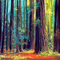 The Avenue Of The Giants 14 X 14