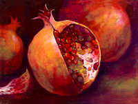 Pomegranate 18x24 GW