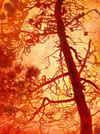 Tanglewood /"Pines" 40x30 Acrylic On Canvas By Simon Bull