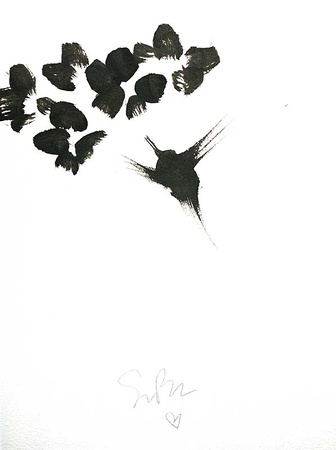 Bird Study