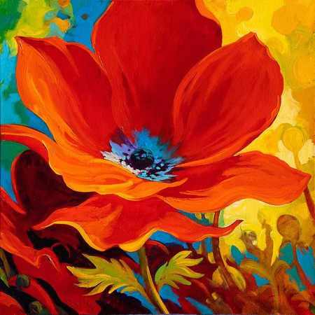 Anemone