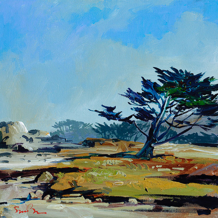 SOLD Morning In Pacific Grove 20x20